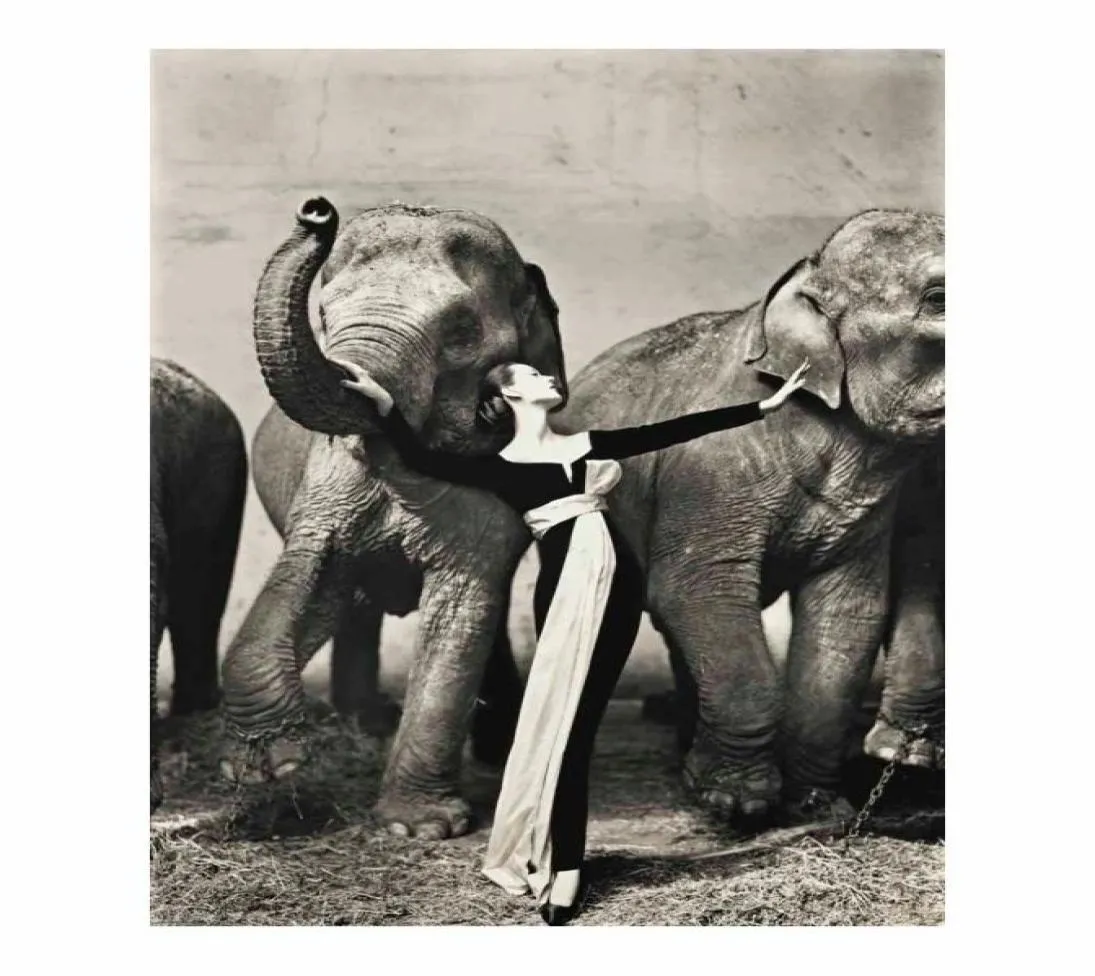 Richard Avedon Dovima med Elephants Evening Dress Poster Målning Heminredning inramad eller oramamad Popaper Material8780637