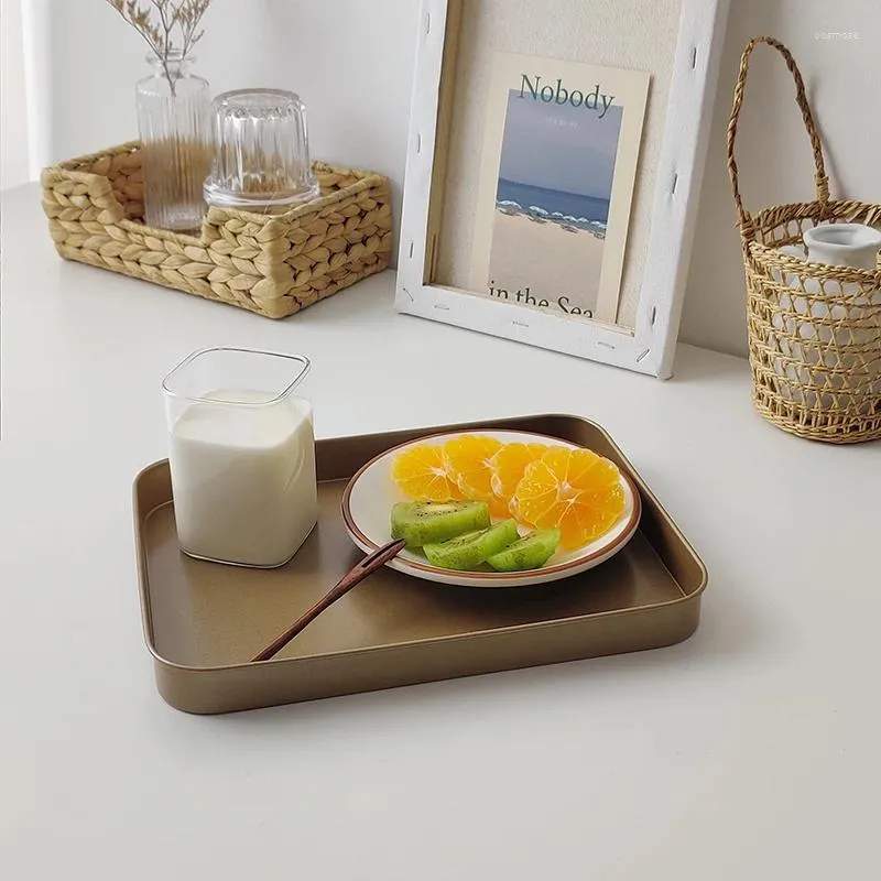 Assiettes de style nordique Assier en acier inoxydable Fruits / desserts / Dish Dish Retro Breakfast / Dinner Plateau Multifonctional Rangement