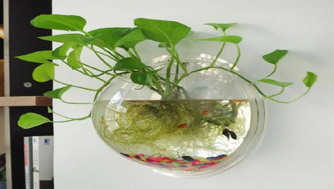 Formato de bola de terrário forma clara de vidro pendurado vaso plantador de flores de parede tanque de peixe contêiner aquário Homw decor247h3146252