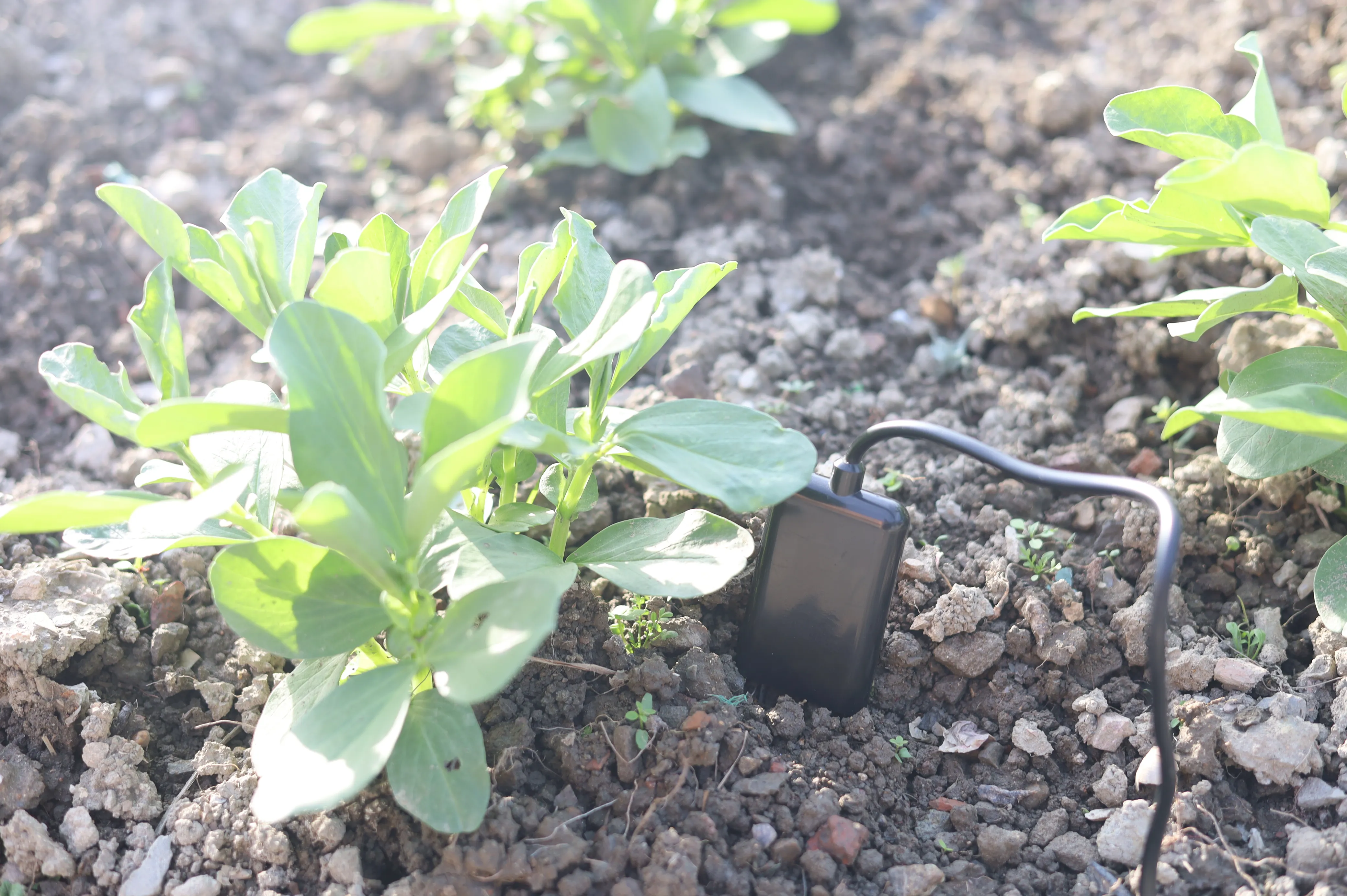 Measuring and Logging Soil Moisture Temperature Humidity EC PH NPK ...