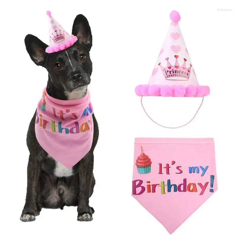 Ropa para perros mascota divertida divertida celebración única suministros de fiesta de cumpleaños adorables accesorios sombrero