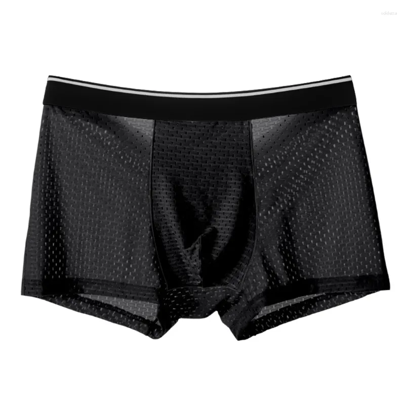 Underpants Sexy Men Bulge Pouch Boxer Briefs Fine Mesh Quick-drying Breathable Shorts Casual Loose Comfortable Soft Homewear