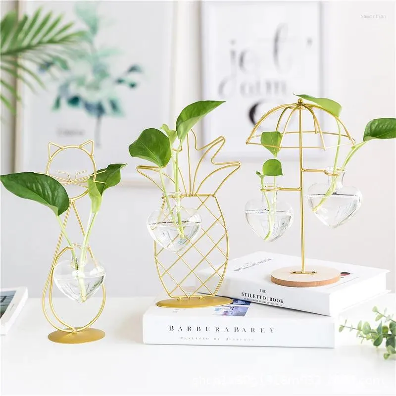 Vases Creative Hydroponic Plant Glass Transparent Vase Home Flower Pot Iron Desktop Living Room Decoration Office