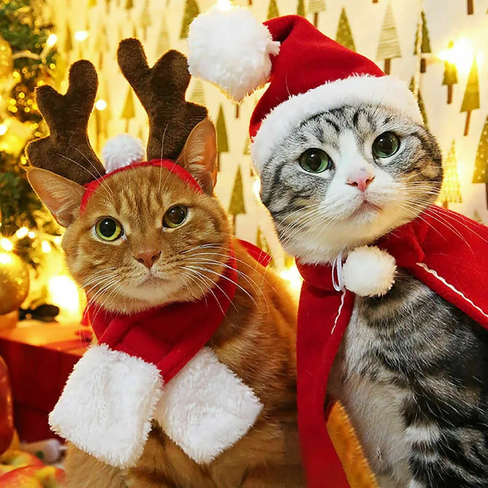 cat christmas dress up 25 Cute Christmas Costume Ideas For Cats