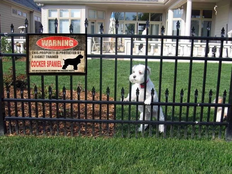 Znak blaszany Uważaj na psa ogrodzenie kupiec spaniel znak ten jest chroniony zabawny metalowy znak blaszany dom