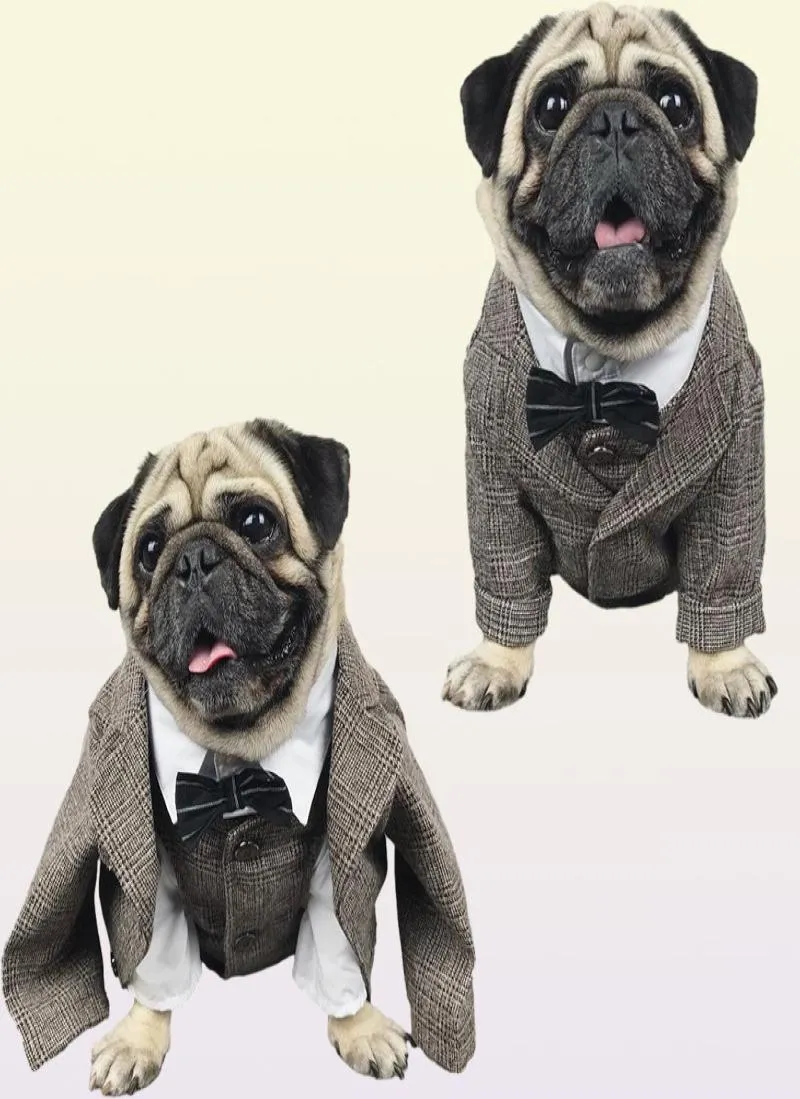 Hundkläder Cat Clothes Wedding Party Suits For Small Dogs Pet Tuxedo Coat Costume XS S M L XL 2XL7192844