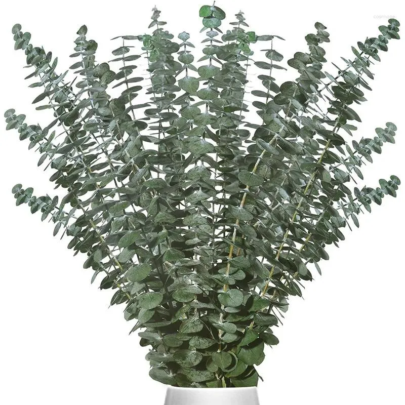 Decorative Flowers Zamioculcas Leaves Round Leaf Flower Arrangement Eucalyptus Fake Juanhua DIY Decoration