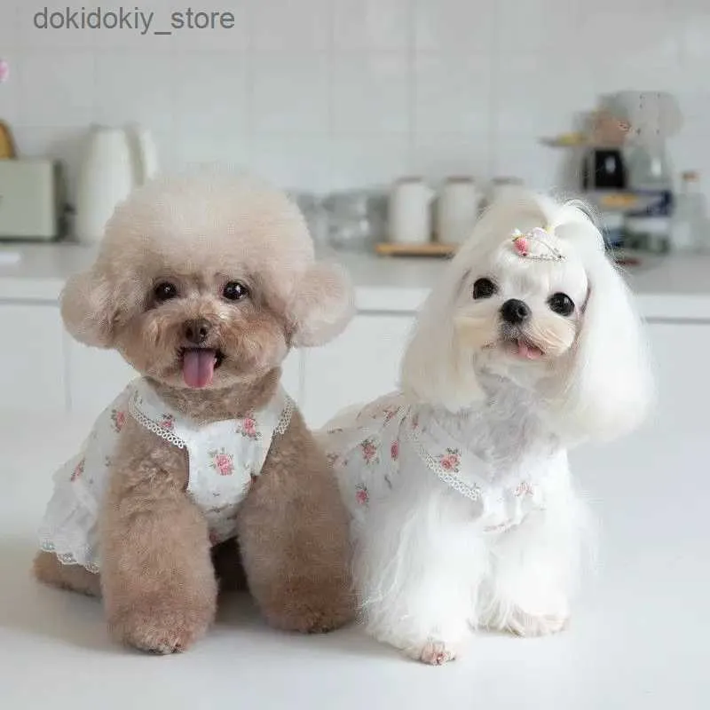 Abbigliamento per cani da vestito Gonna gatto carino femmina do come abbigliamento chihuahua Yorkie maltese shih tzu bichon pomeranian barboncino pet bloodin 2023 l49