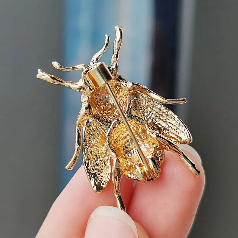 小物 bee Four-striped Digger Bee (Amegilla quadrifasciata) · iNaturalist