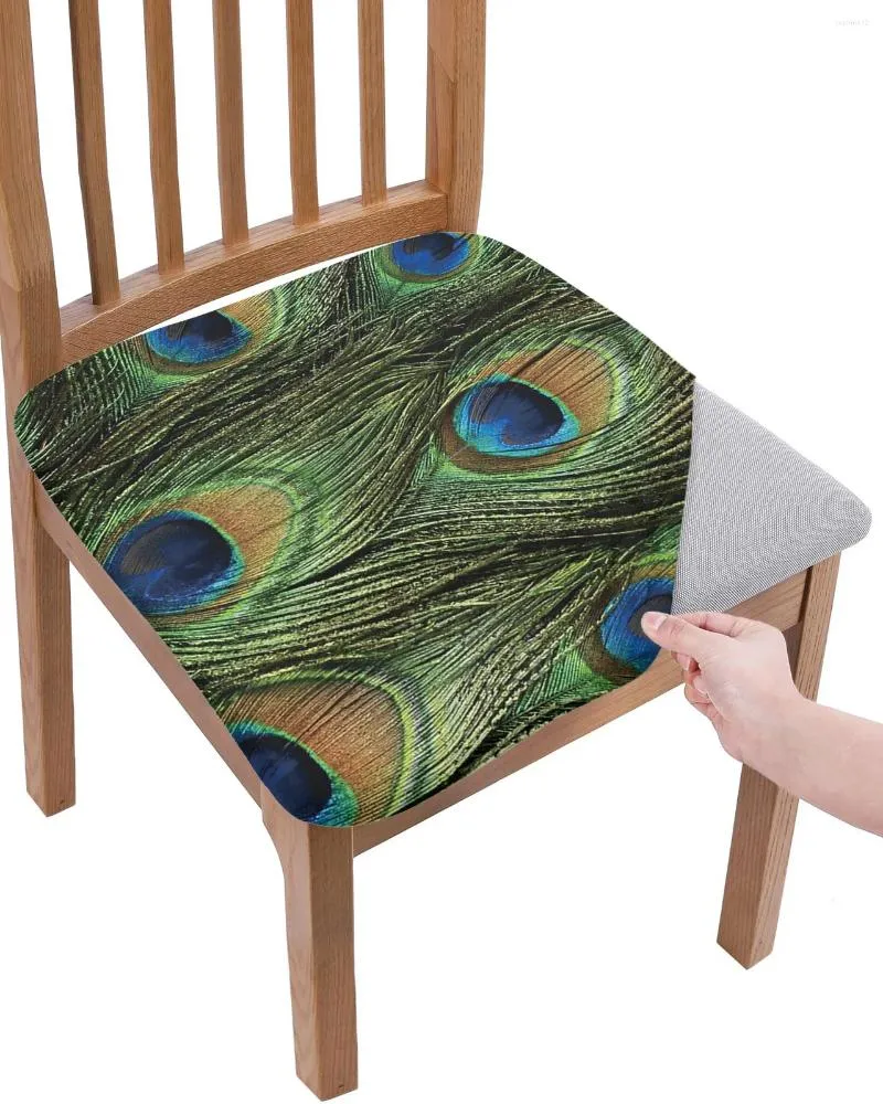 Couvre les couvertures Animaux verts Peacock Feather Seat Cushion Stretch Dining 2pcs Cover Cover Covers pour Home El Banquet Living Room