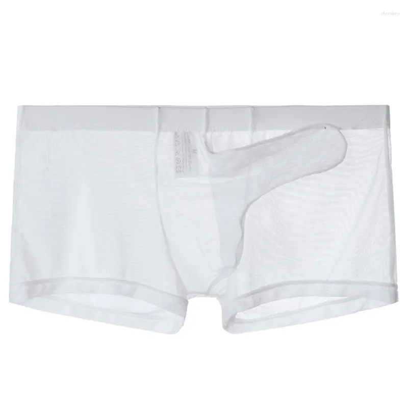 Onderbroek heren sexy naadloos ondergoed slipje mannen ultra dunne transparante boksershorten mannelijke mid-rise mesh slips homme briefs boxers shorts