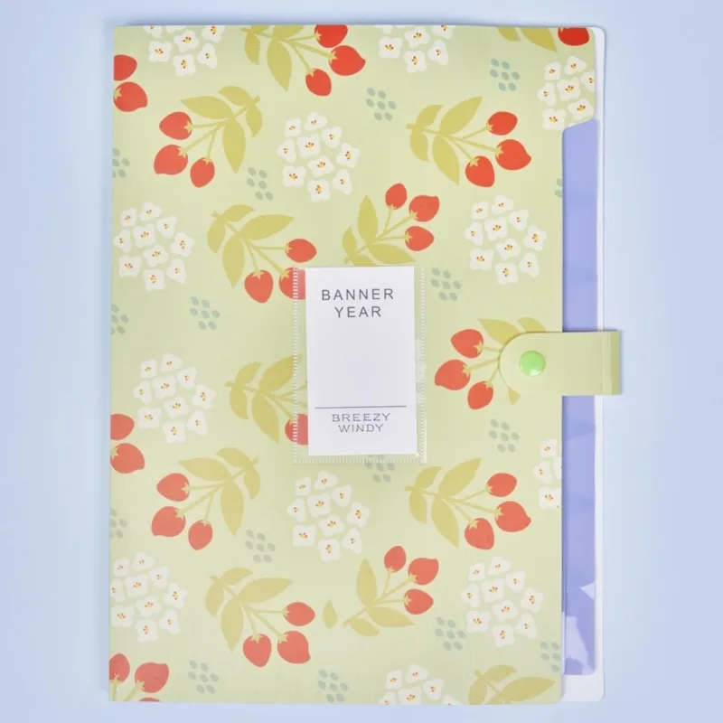 Flower Printed Paper Folder Set with 6/8 Pocket closet organizer - 4x ...