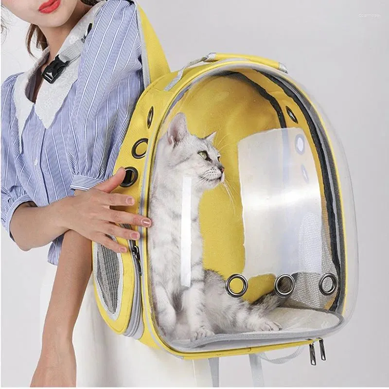 Cat Carriers plecak koreański styl wychodzący z przenośnych przezroczysty kosmiczna torba dla zwierząt domowych