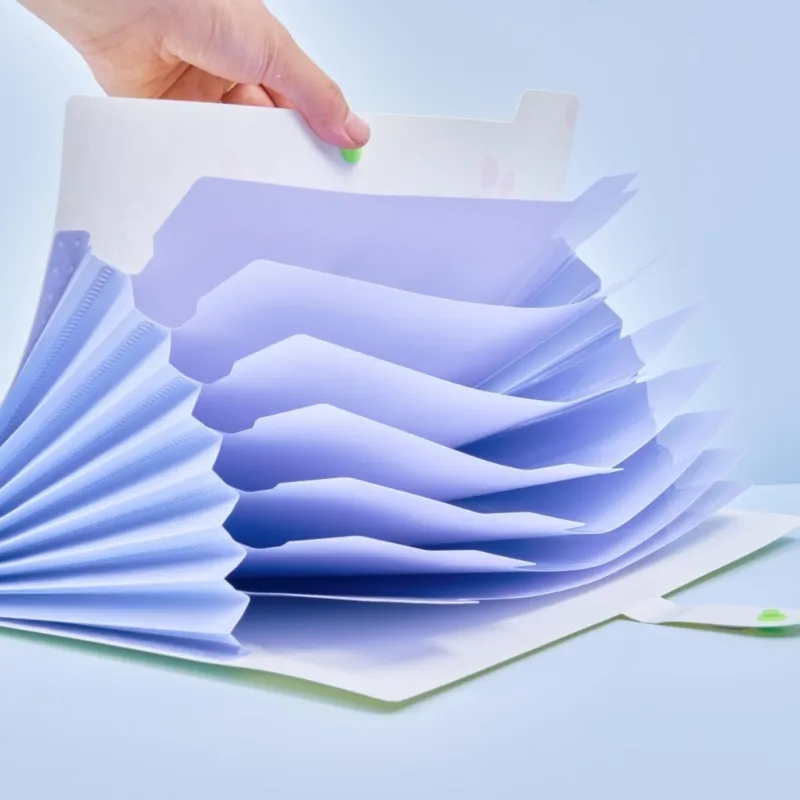 Flower Printed Paper Folder Set with 6/8 Pocket closet organizer - 4x ...