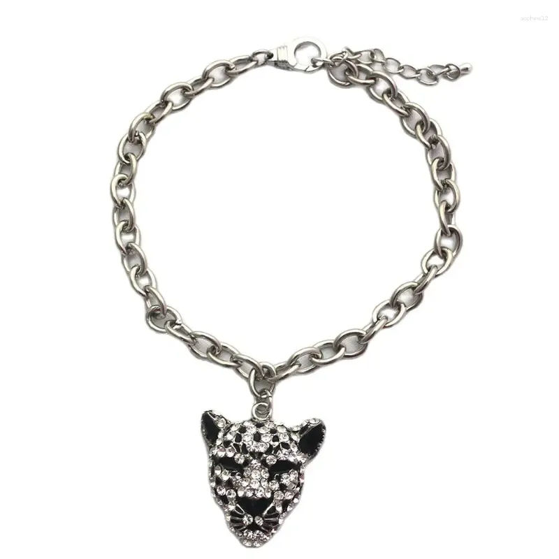 Appareils pour chiens xksrwe Chaînes de chat Collier Collier coloré stratone coeur charme pendant Pet Puppy Bijoux femelle Chihuahua Yorki