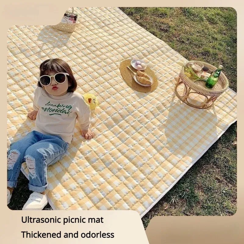 Ультразвуковой пикник для мата