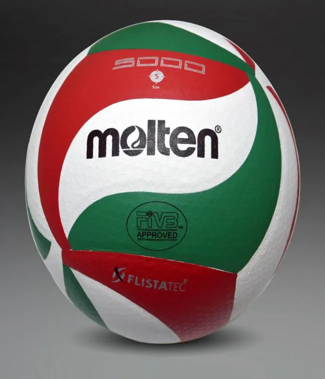 Voleallas profesionales Bola de voleibol Soft Touch VSM5000 Voleibol de calidad de partido con Bag Net Bille4140192