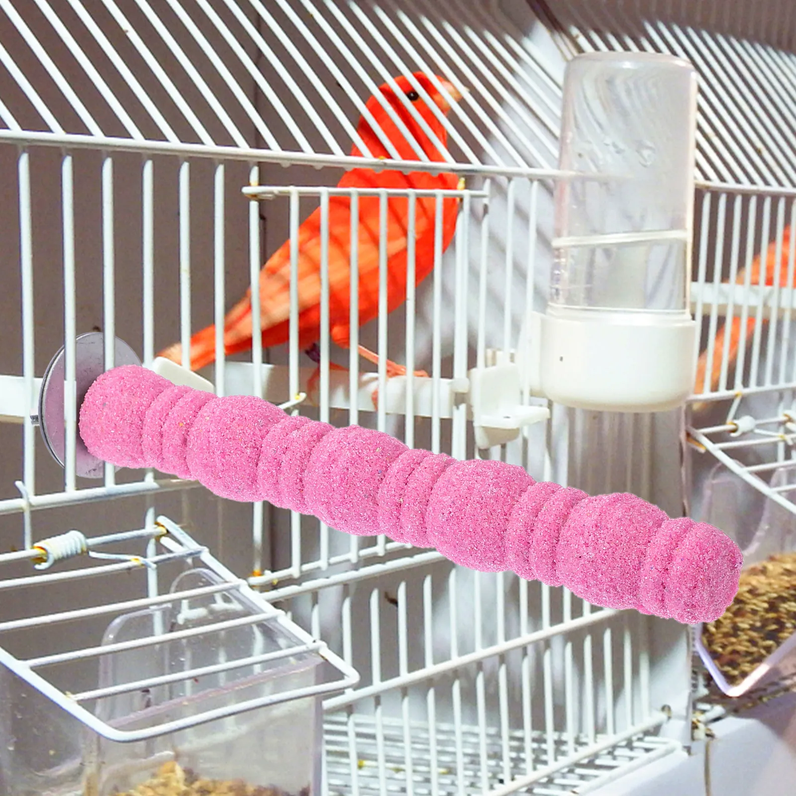 Hypeety Colorful Bird Perch Cage Stand Platform for Parrot Macaw