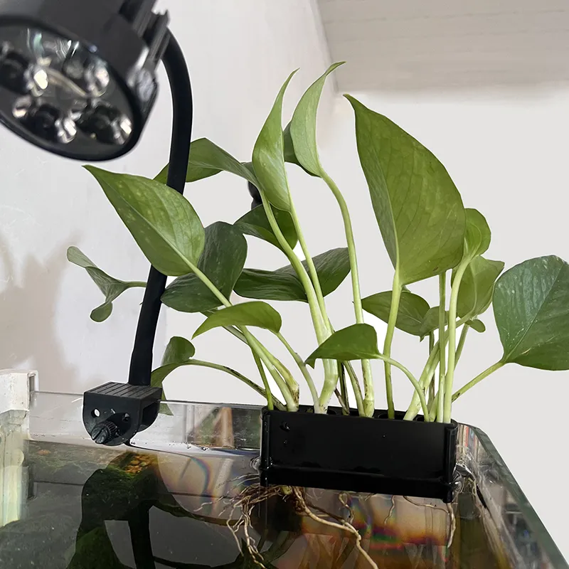Acryl Aquarium Pflanzenhalter Mit Saugnapf – Verstellbar, Für Wasserpflanzen Wie Pothos & Bambus