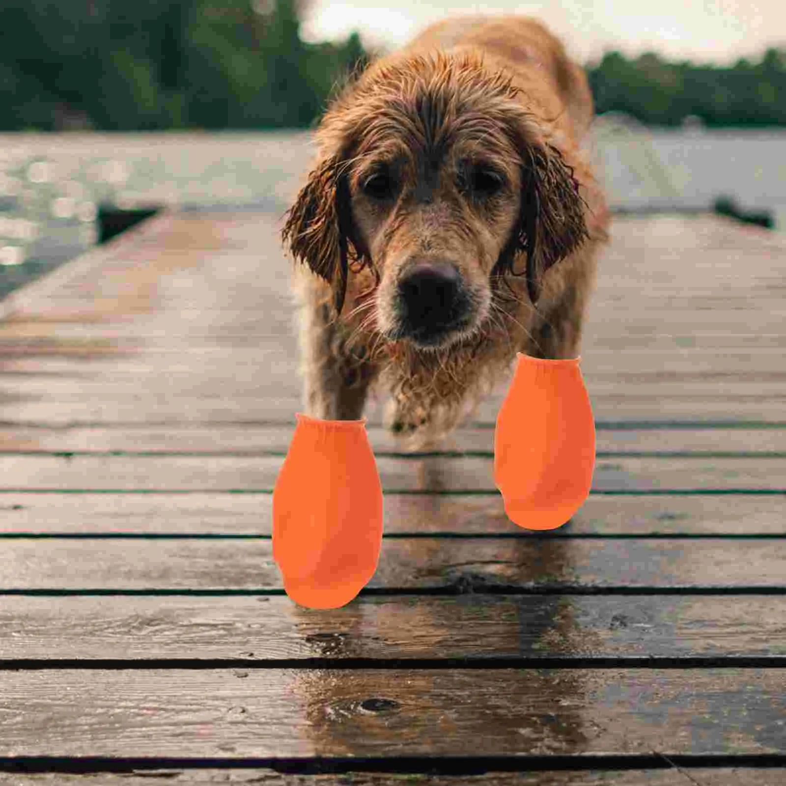 Dog Balloon Shoes 4Pcs/lot Waterproof Winter Dog Shoes For