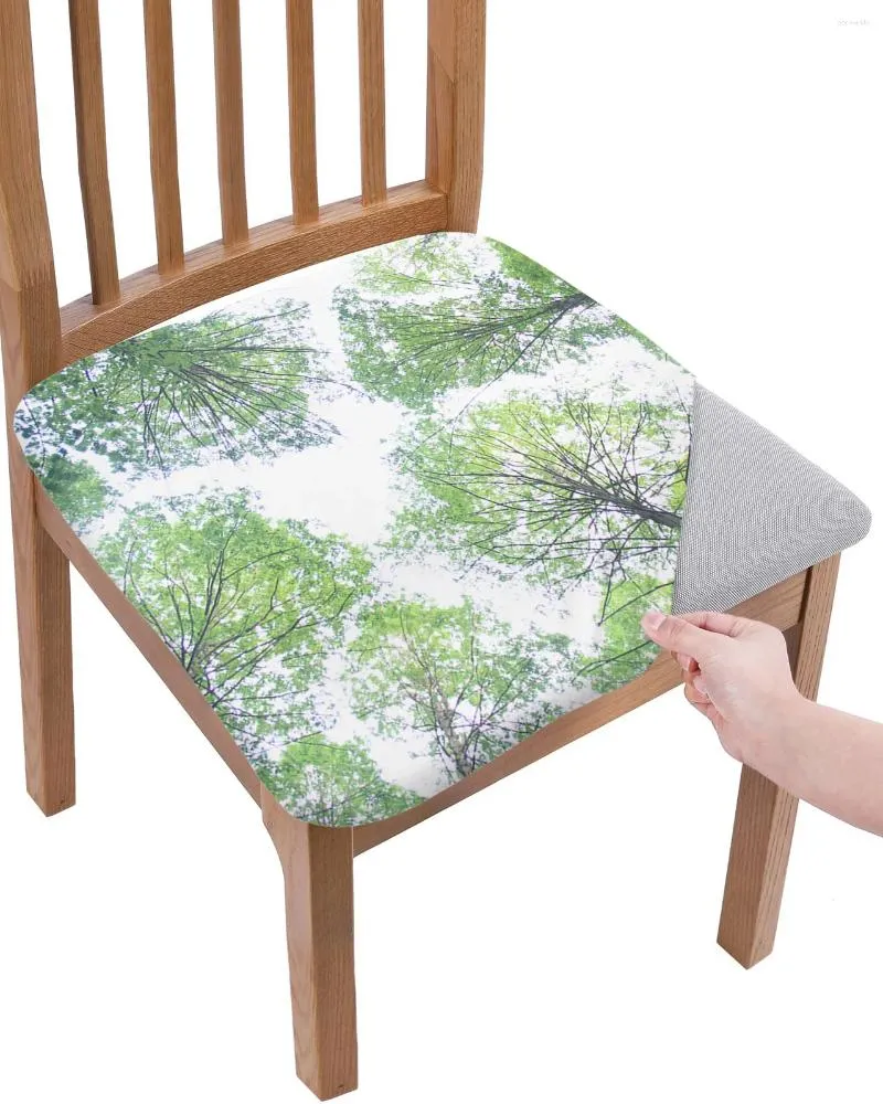 Couvrave de chaise plantes arbres soleil feuilles vertes coussin de siège extensible couverture de salle à manger holboubres pour la maison el banquet salon