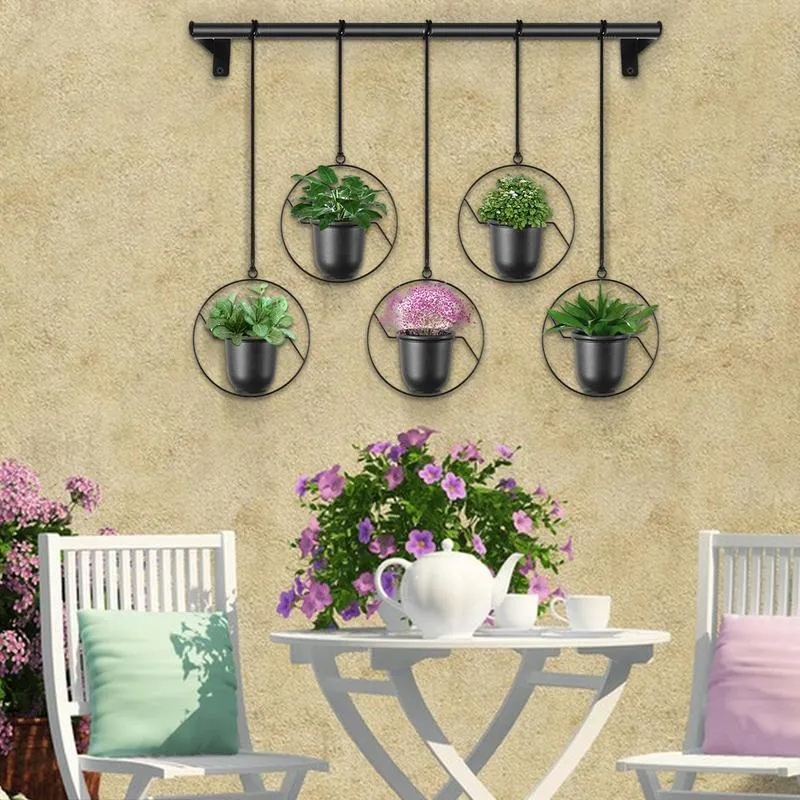 lavender plants perennial Plectranthus Mona Lavender Perennial Plant (Purple Flowers) in a 6-in.   OnlinePlantCenter