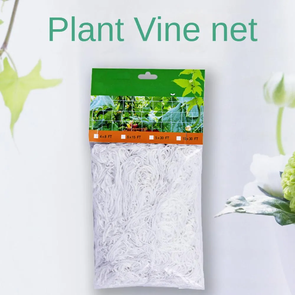 bonsai tree shirt Bonsai Shirt