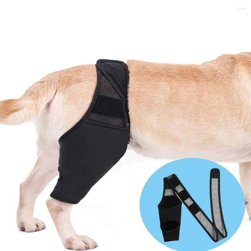 Dog Apparel Pet Hip Brace Comfortable Breathable Legs Protector Supplies