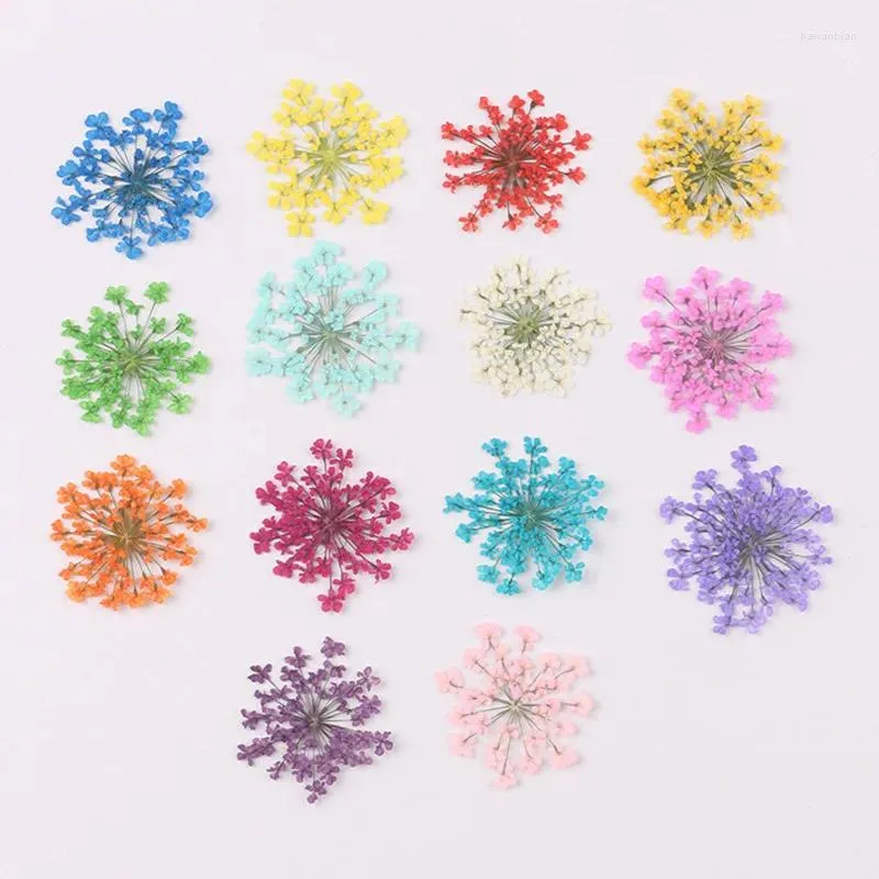 Decoratieve bloemen 120 PCS Natuurlijke gedroogde bloem Gypsophila kant Embossing Epoxy Telefoonhoes Diy Nail Art