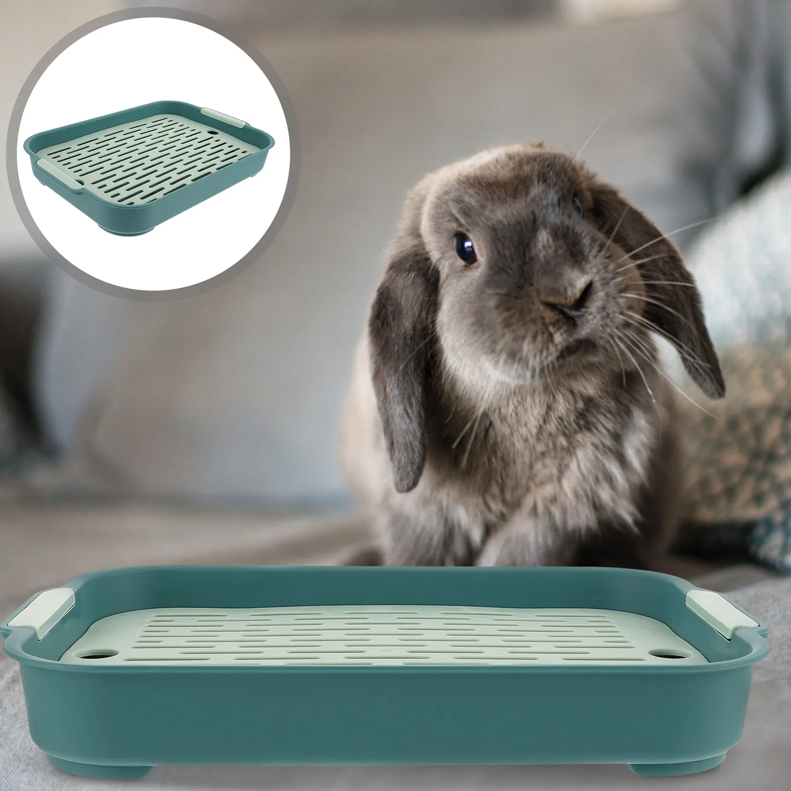 Rectangular Rabbit Litter clippty Box Eco friendly
