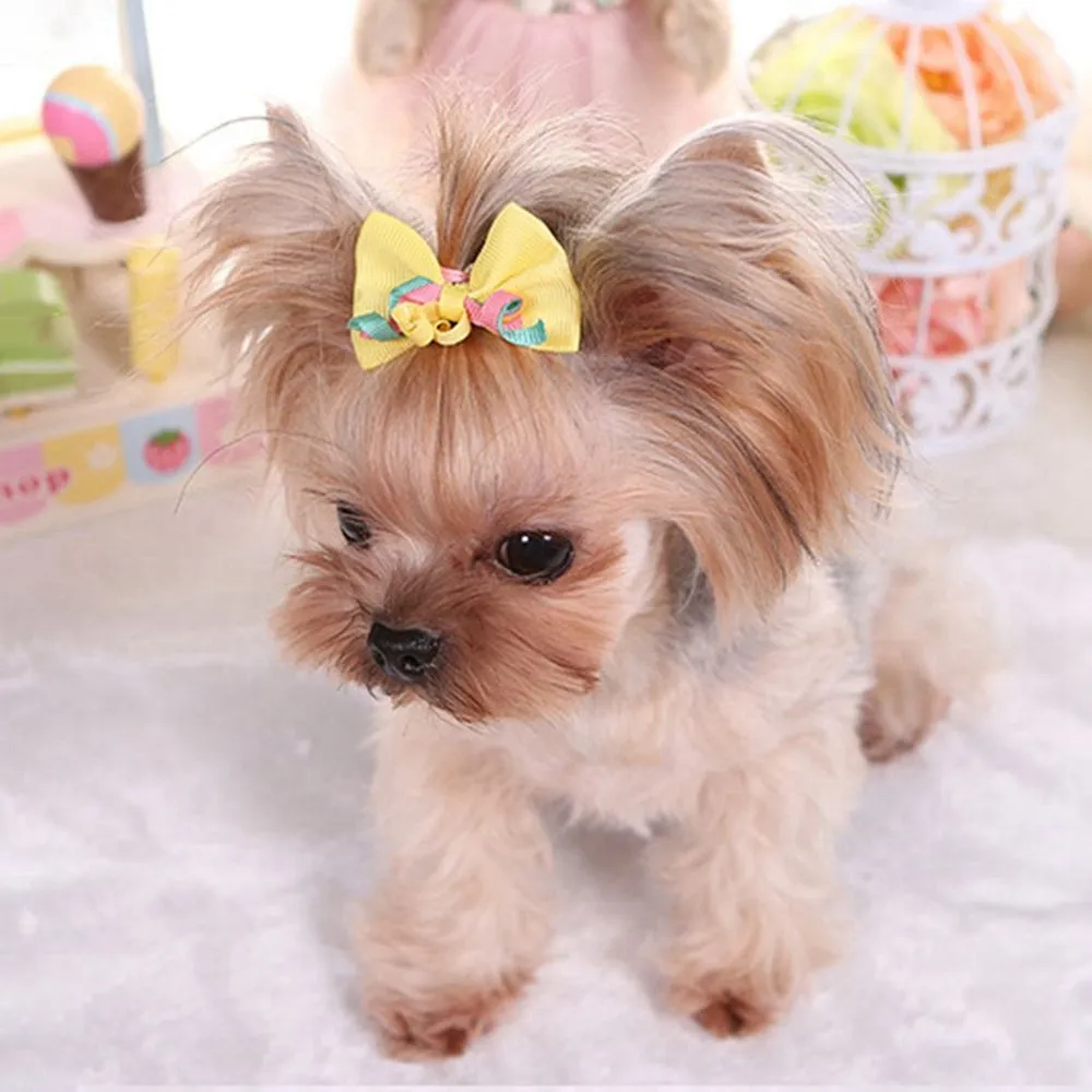 Dog Hair Bow Accessories: A Guide for Pet Product Retailers