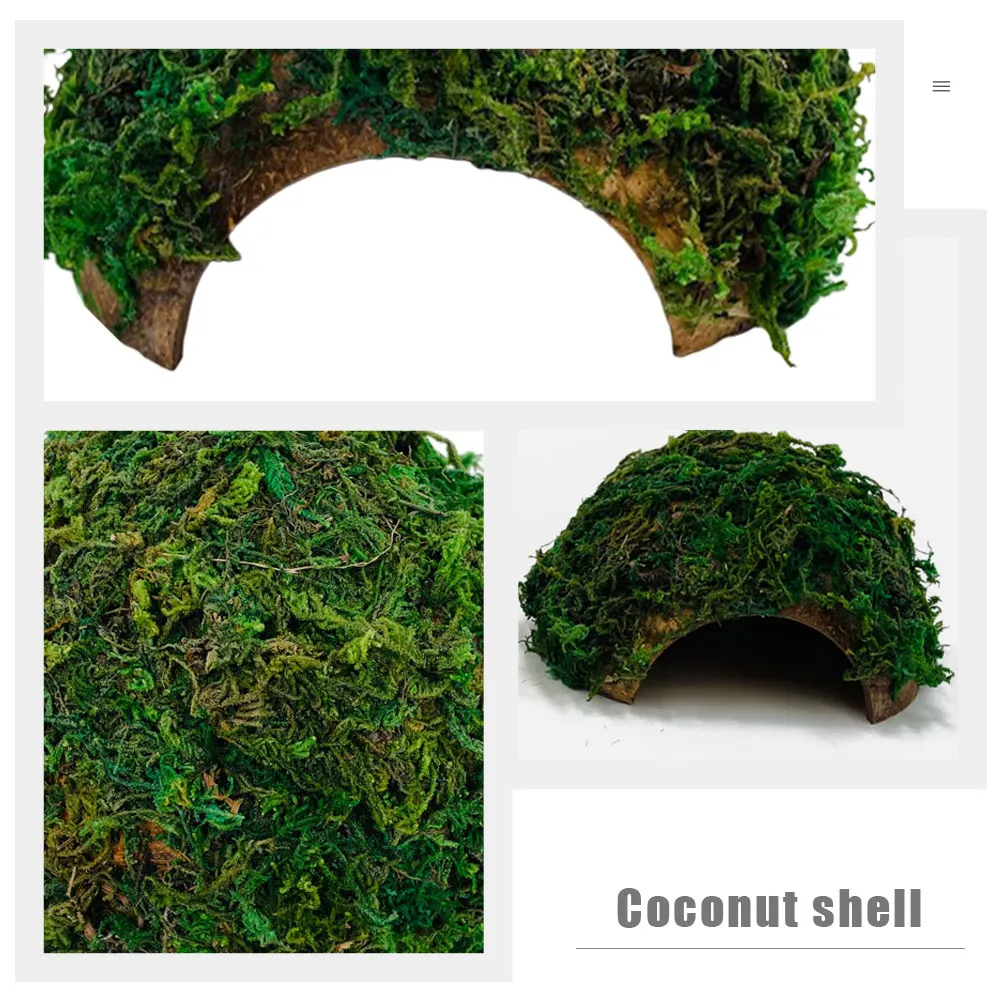 Why 220v Appliances are a Must-Have for Reptile Owners Why 220v Appliances are a Must-Have for Reptile Owners