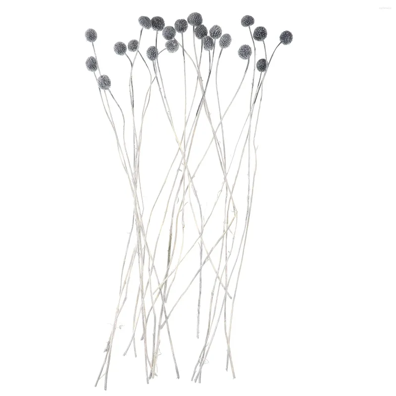 Fleurs décoratives 20 PCS Décor de mariage Natural Craspedia Grace Fleur séchée Vraie Vase Home Party Decors