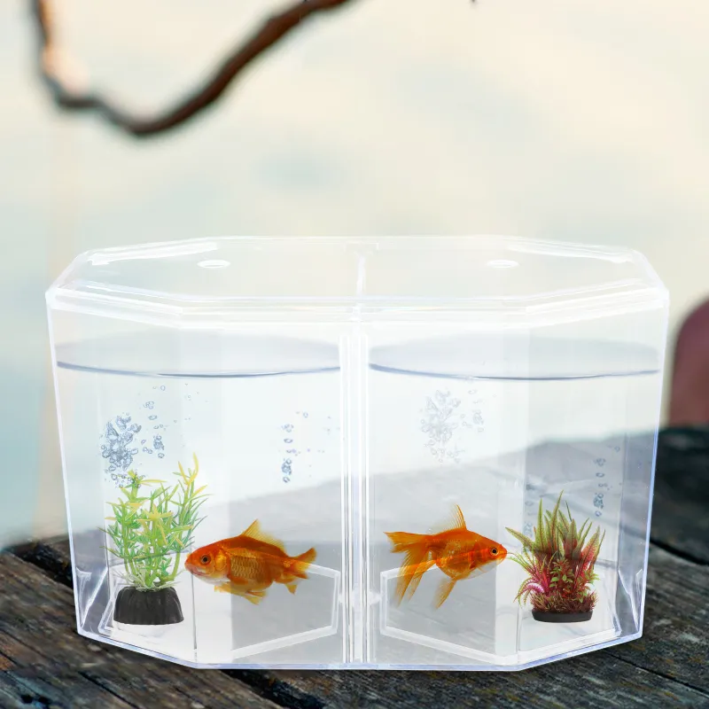 Clear Acrylic Octagonal Fish Tank | Breeding | Brine Shrimp | Aquarium ...