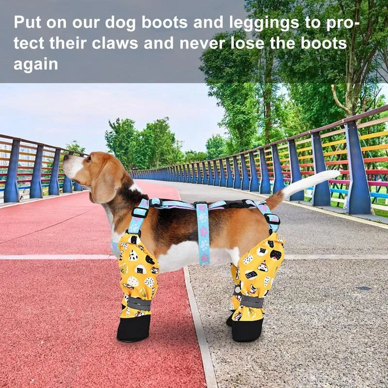 Cool paws dog boots 2025
