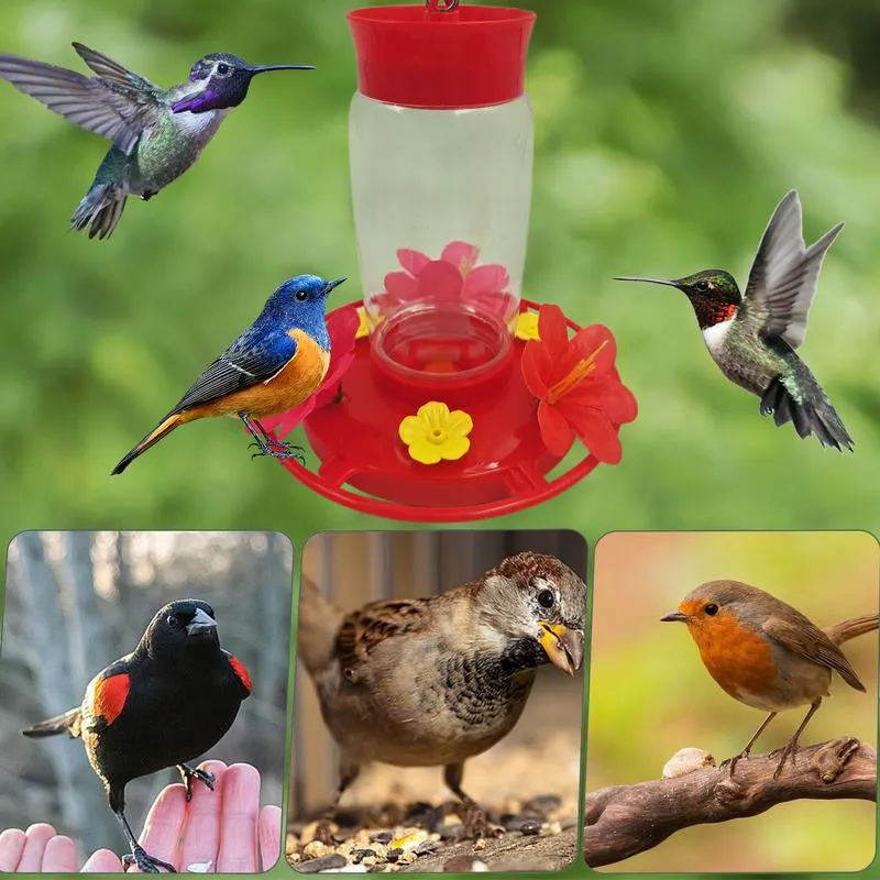 Outdoor bird supplies online