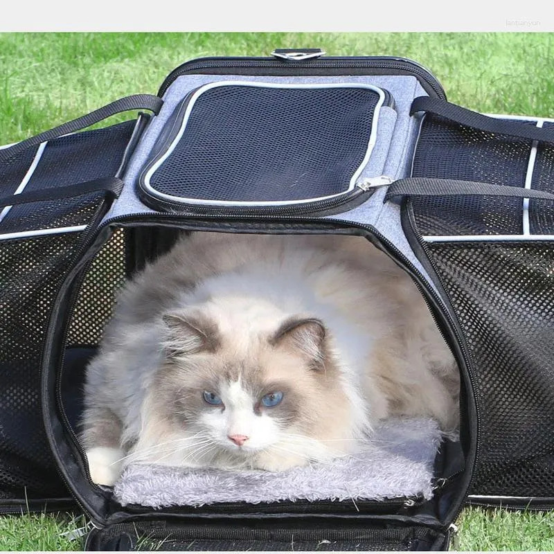 Porteurs de chats animaux de compagnie sort voyage transportable sac à dos d'été espace respirant grand-capacité et chien multifonctionnel