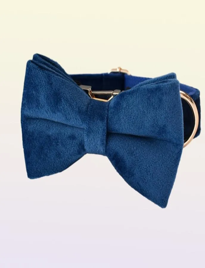 Collier bleu tissu de qualité de coton en velours personnalisé pour petit chien moyen grand chien en métal personnalisé accessoire de compagnie flanlette 022949656