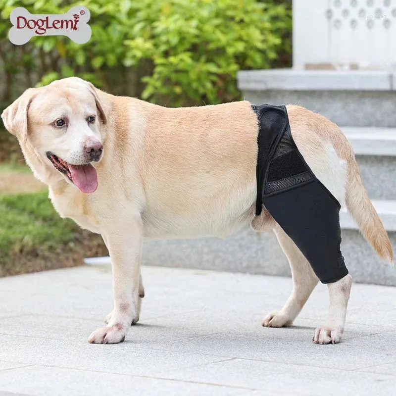 Protectores de articulaciones de ropa para perros para fractura y discapacidad de protección postoperatoria de rodilla