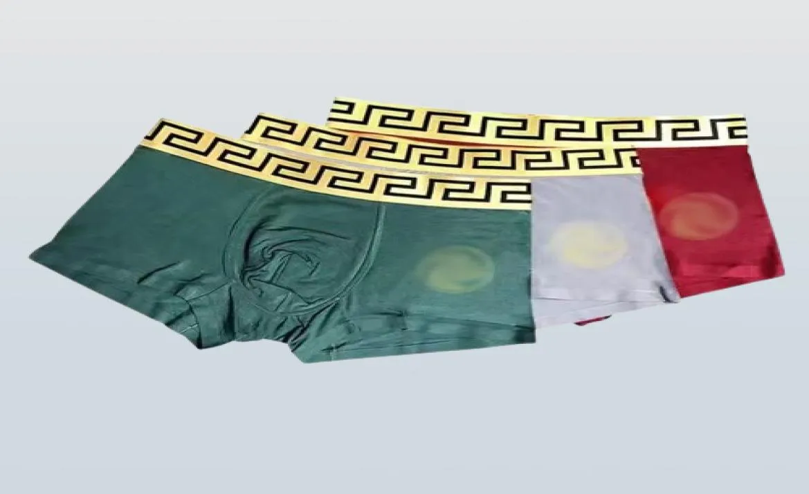 Men's Underpants Advanced Modal coke film luxury tide brand men breathable autumn and winter warm Boxer underwear 3 piece gift box5487654