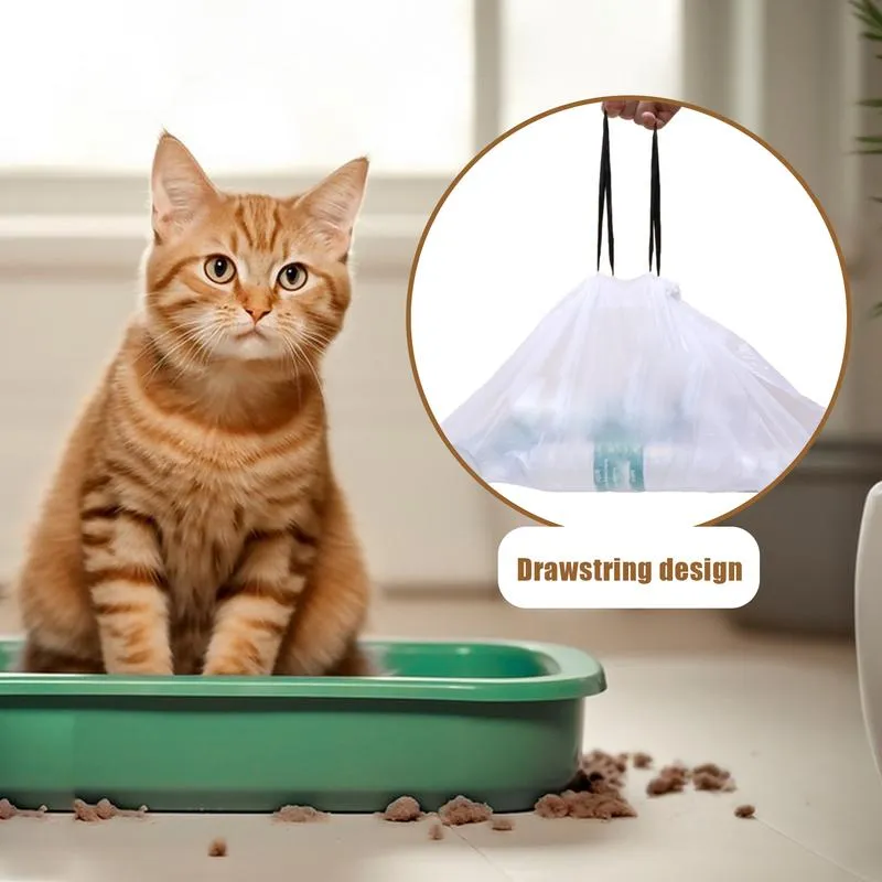 Cat liners online
