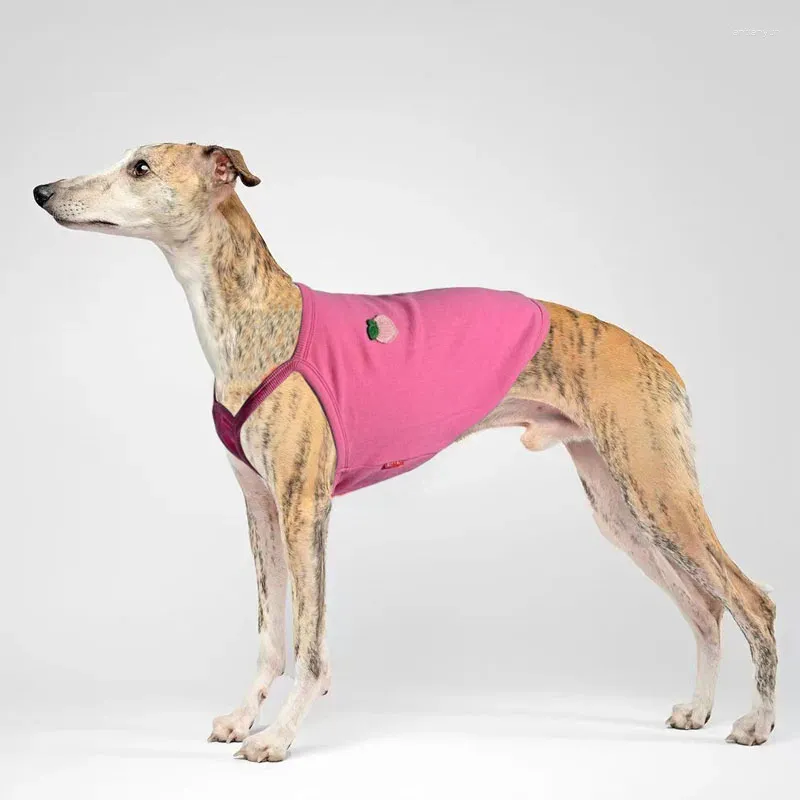 Köpek giyim yaz yeleği neden schnauzer tazı kıyafetleri elastik köpekler kostüm tasarımcı aksesuarları