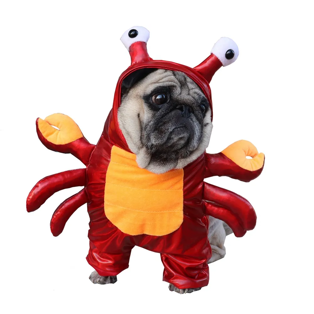 Traje De Ropa De Vestuario De Mascotas Divertidas Para Gatos Perros Lindos  Trajes De Cangrejo Rojo Cosplay Halloween Trajes Cómicos Ropa De Perro  Novedoso De 8,78 € | DHgate, image size:1000x1000