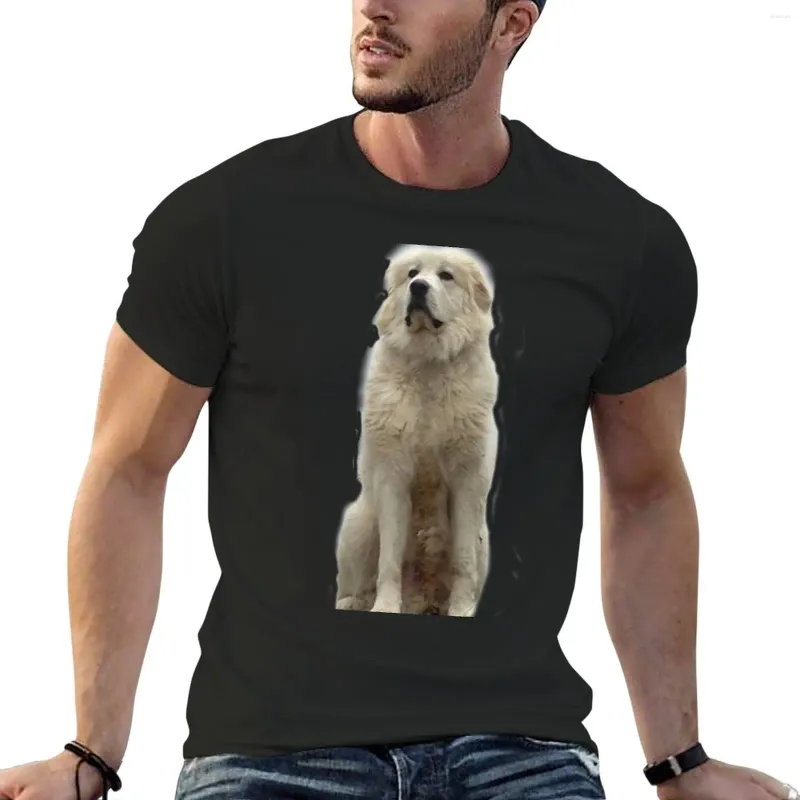 Herrpolos den stora Pyrenees Mountain Dog T-shirt anime blus snabb torkning skjorta pojkar vita t skjortor män kläder