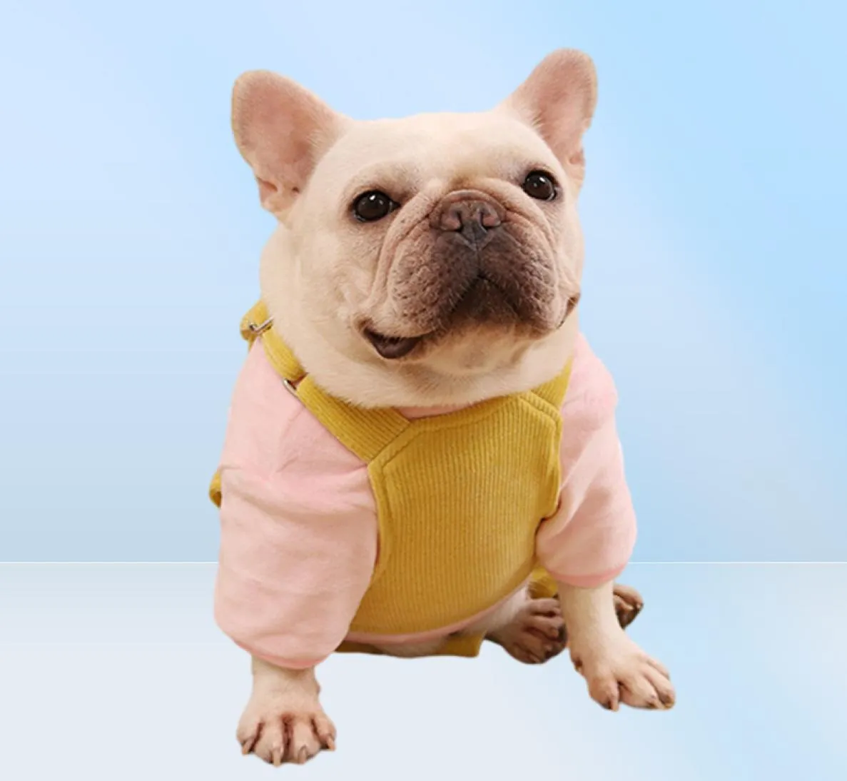 Winterhond jumpsuits Franse bulldog kleding voor honden Winterkleding verstelbare huisdierhondenkleding huisdier pyjama jumpsuit voor honden 20103342210