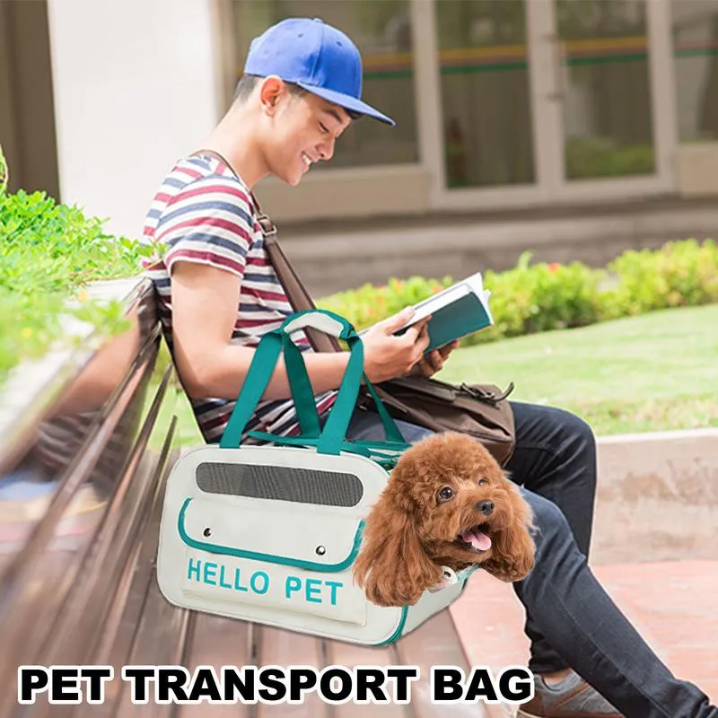 Pet Relocation Sending Pet On Plane In Cabin Pet Carrier For Plane