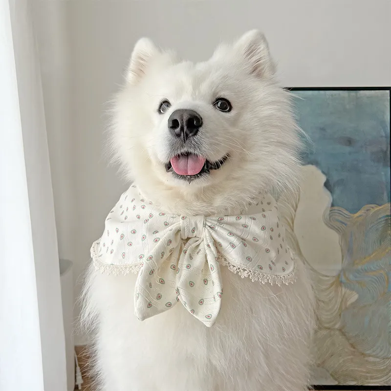 Cute Dog Bandanas Scarfs Washable Daily Handkerchief Gifts for Small Medium Large Girl Boy Pet 339