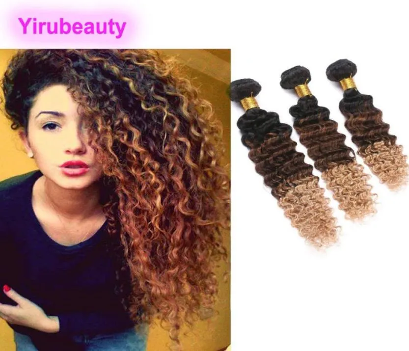 9A Indian Virgin Hair Yiruhair 3 Bundles Ombre 1B427 Deep Wave Curly Hair Extensions Three Tones 828Inch1201976