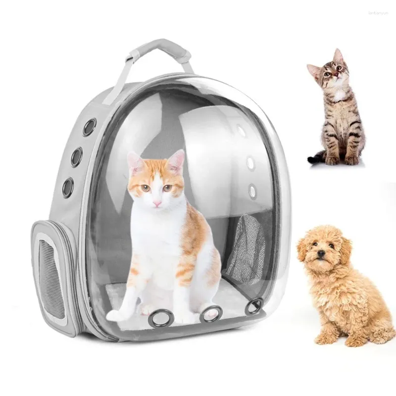 Cat Carriers Carrier Backpack Dog For Puppy Space Pet Randonnée Airline Airline Approuvé Sac de voyage