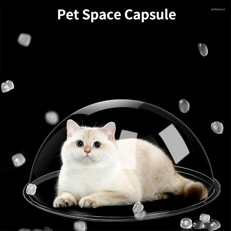 Kattendragers hemisferische transparante huisdierafdekking nestaccessoires Diy levert honden hek venster Clear View Dome Peek